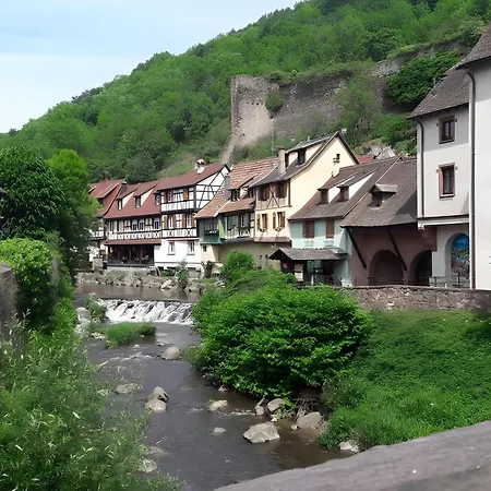 Pinot Noir N°1 A * Kaysersberg-Vignoble